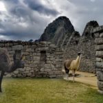 Machu Picchu Ruines